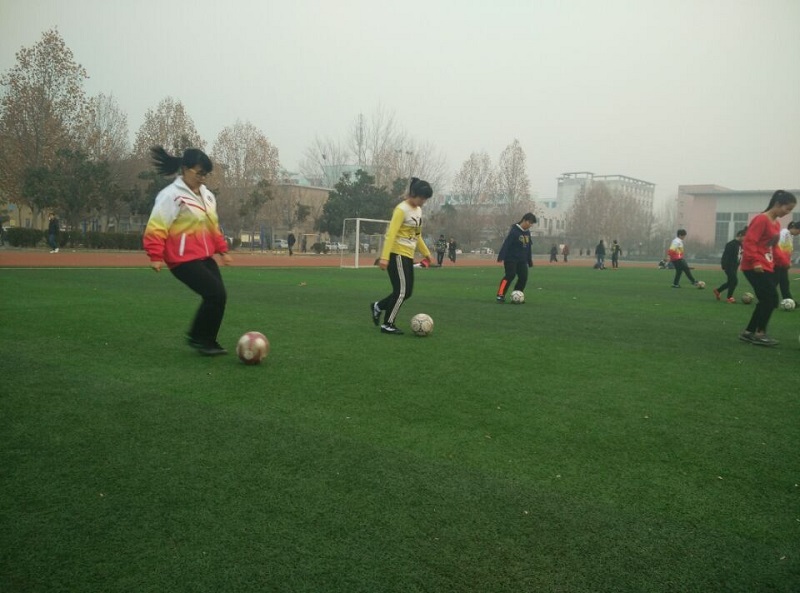 QQ图片20151211085647